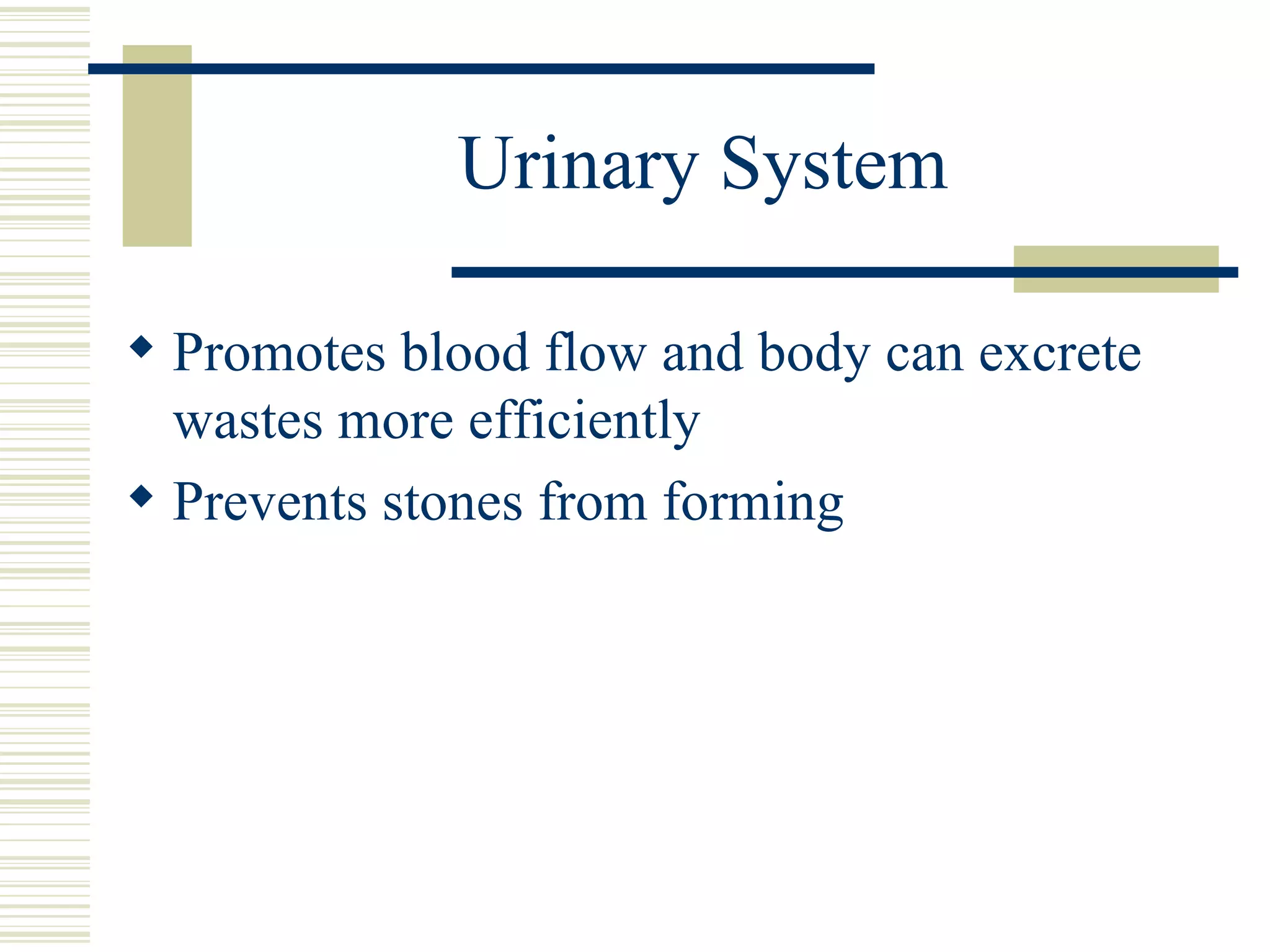 Urinary System Promotes blood flow and body can excrete wastes more efficiently Prevents stones from forming 