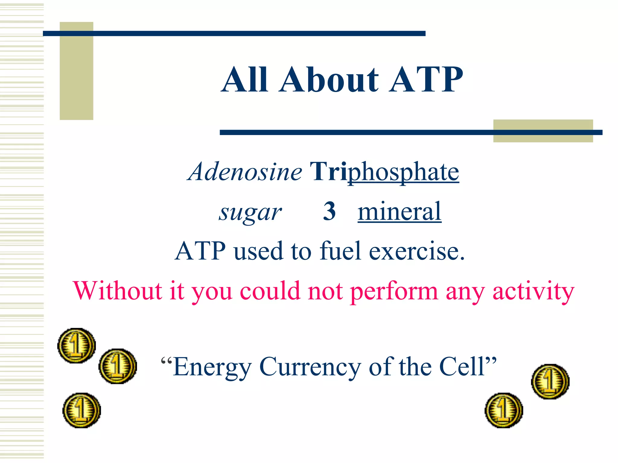 All About ATP Adenosine   Tri phosphate   sugar   3   mineral ATP used to fuel exercise.  Without it you could not perform any activity “ Energy Currency of the Cell”  