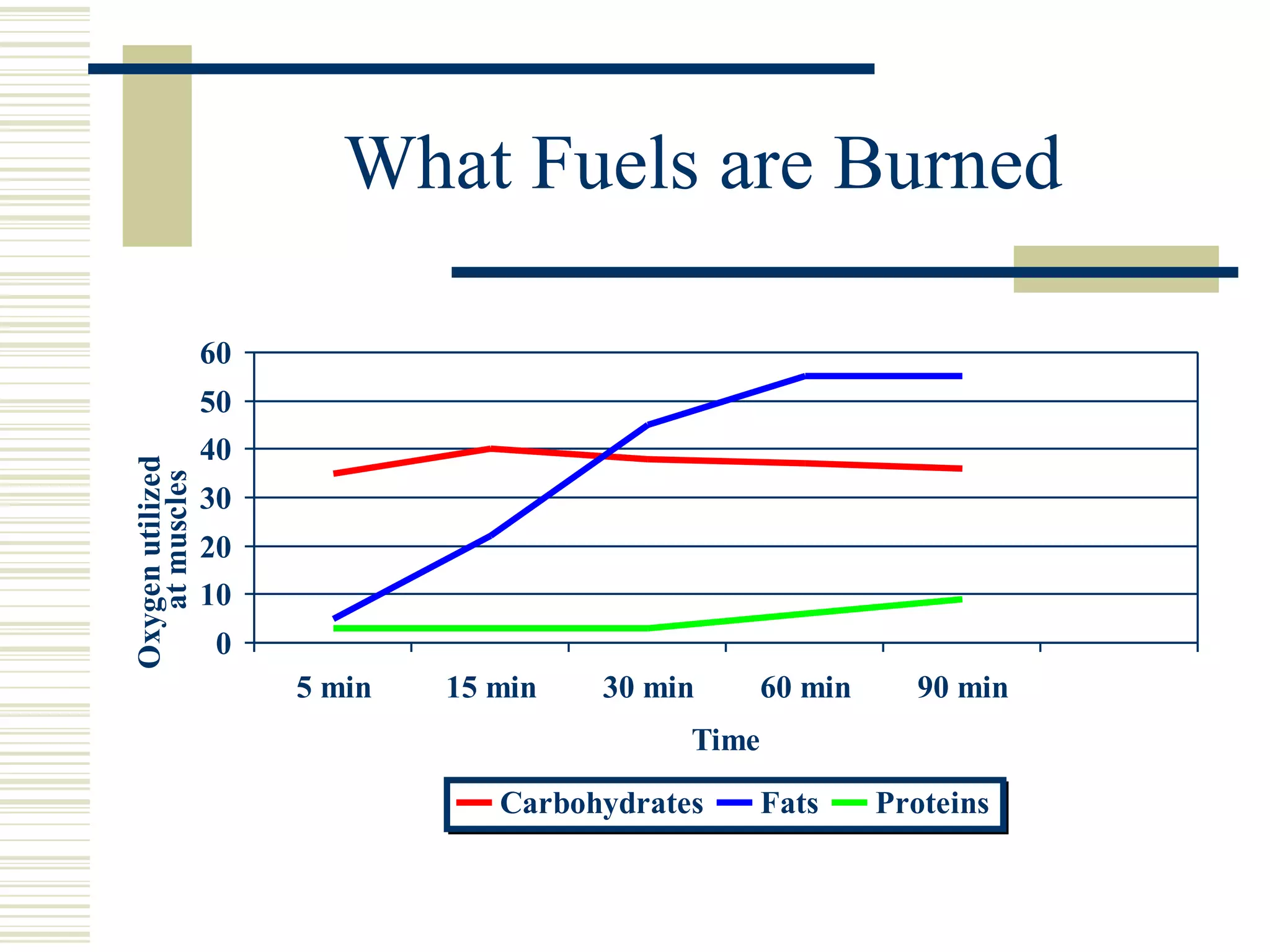 What Fuels are Burned 