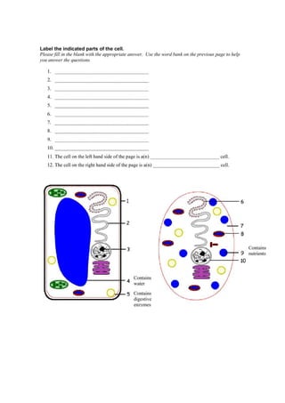 Exercise Organel cell.pdf