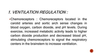 Chemoreceptors : Chemoreceptors located in the
carotid arteries and aortic arch sense changes in
blood oxygen, carbon dioxide, and pH levels. During
exercise, increased metabolic activity leads to higher
carbon dioxide production and decreased blood pH,
stimulating chemoreceptors to signal the respiratory
centers in the brainstem to increase ventilation.
 