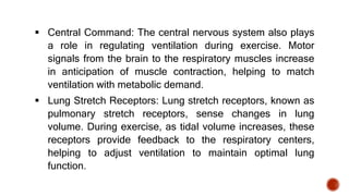  Central Command: The central nervous system also plays
a role in regulating ventilation during exercise. Motor
signals from the brain to the respiratory muscles increase
in anticipation of muscle contraction, helping to match
ventilation with metabolic demand.
 Lung Stretch Receptors: Lung stretch receptors, known as
pulmonary stretch receptors, sense changes in lung
volume. During exercise, as tidal volume increases, these
receptors provide feedback to the respiratory centers,
helping to adjust ventilation to maintain optimal lung
function.
 
