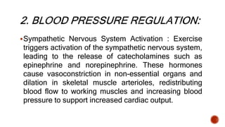 Sympathetic Nervous System Activation : Exercise
triggers activation of the sympathetic nervous system,
leading to the release of catecholamines such as
epinephrine and norepinephrine. These hormones
cause vasoconstriction in non-essential organs and
dilation in skeletal muscle arterioles, redistributing
blood flow to working muscles and increasing blood
pressure to support increased cardiac output.
 