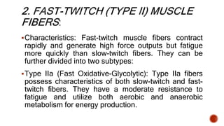 Characteristics: Fast-twitch muscle fibers contract
rapidly and generate high force outputs but fatigue
more quickly than slow-twitch fibers. They can be
further divided into two subtypes:
Type IIa (Fast Oxidative-Glycolytic): Type IIa fibers
possess characteristics of both slow-twitch and fast-
twitch fibers. They have a moderate resistance to
fatigue and utilize both aerobic and anaerobic
metabolism for energy production.
 