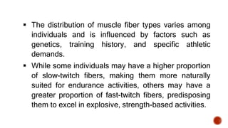  The distribution of muscle fiber types varies among
individuals and is influenced by factors such as
genetics, training history, and specific athletic
demands.
 While some individuals may have a higher proportion
of slow-twitch fibers, making them more naturally
suited for endurance activities, others may have a
greater proportion of fast-twitch fibers, predisposing
them to excel in explosive, strength-based activities.
 
