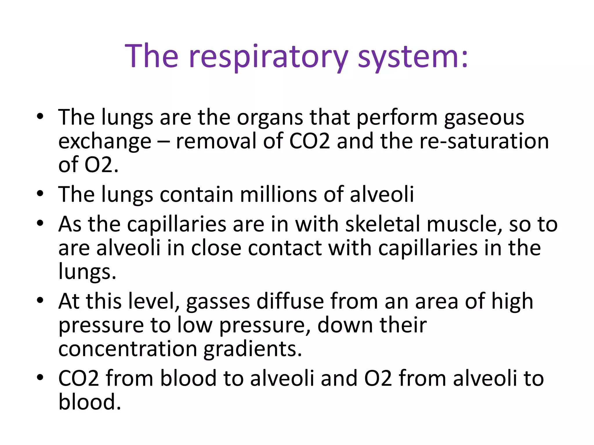 The respiratory system:
• The lungs are the organs that perform gaseous
exchange – removal of CO2 and the re-saturation
of O2.
• The lungs contain millions of alveoli
• As the capillaries are in with skeletal muscle, so to
are alveoli in close contact with capillaries in the
lungs.
• At this level, gasses diffuse from an area of high
pressure to low pressure, down their
concentration gradients.
• CO2 from blood to alveoli and O2 from alveoli to
blood.
 