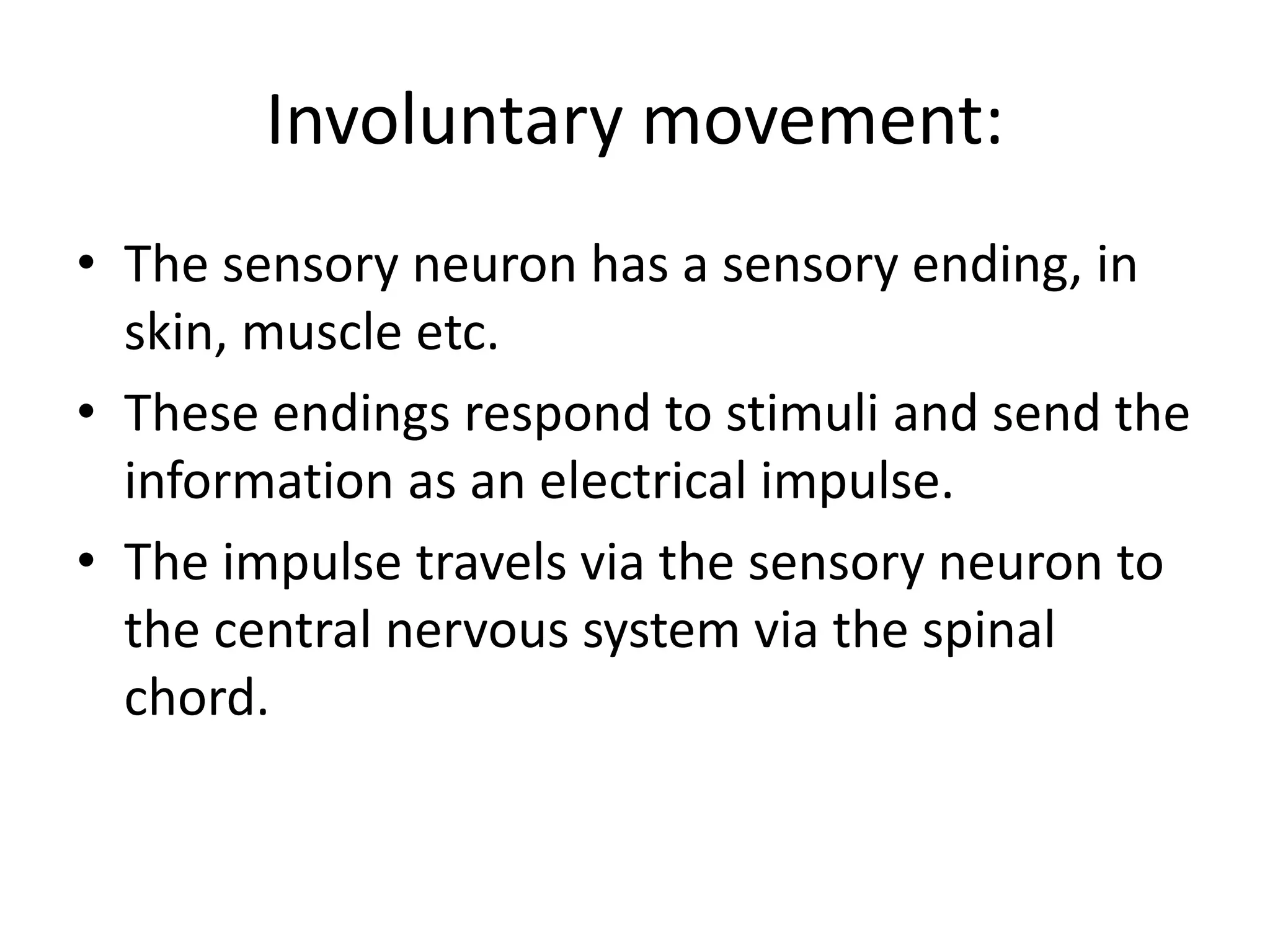 Involuntary movement:
• The sensory neuron has a sensory ending, in
skin, muscle etc.
• These endings respond to stimuli and send the
information as an electrical impulse.
• The impulse travels via the sensory neuron to
the central nervous system via the spinal
chord.
 