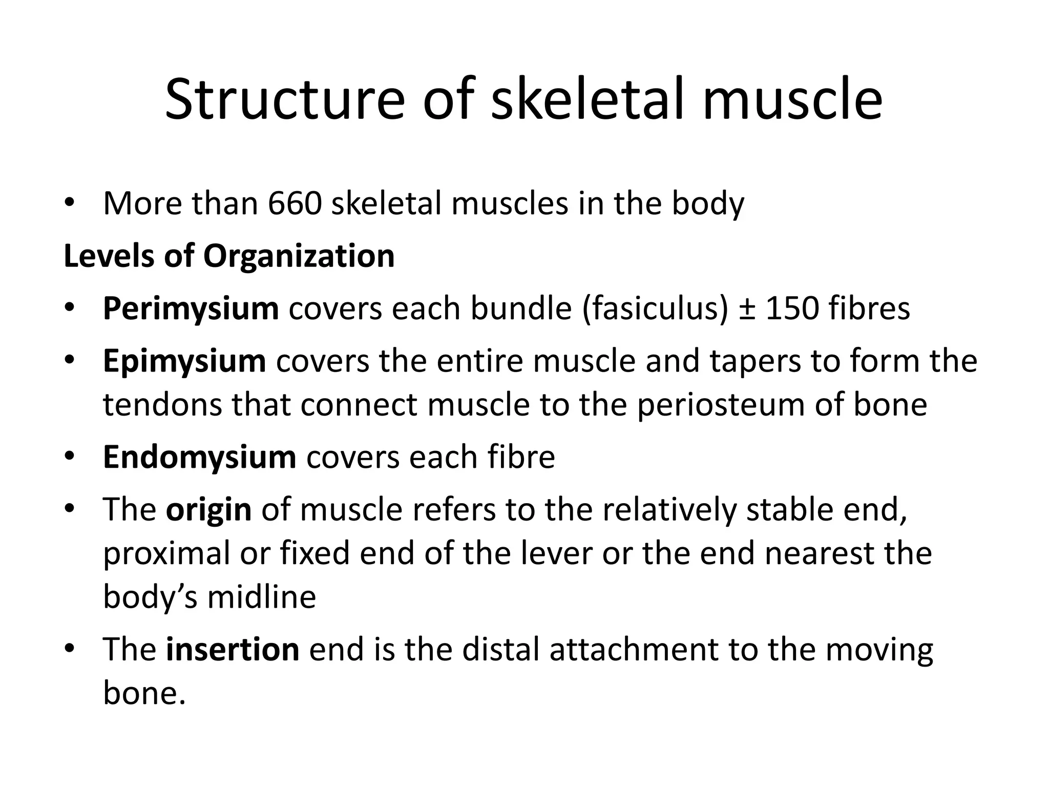 Structure of skeletal muscle
• More than 660 skeletal muscles in the body
Levels of Organization
• Perimysium covers each bundle (fasiculus) ± 150 fibres
• Epimysium covers the entire muscle and tapers to form the
tendons that connect muscle to the periosteum of bone
• Endomysium covers each fibre
• The origin of muscle refers to the relatively stable end,
proximal or fixed end of the lever or the end nearest the
body’s midline
• The insertion end is the distal attachment to the moving
bone.
 