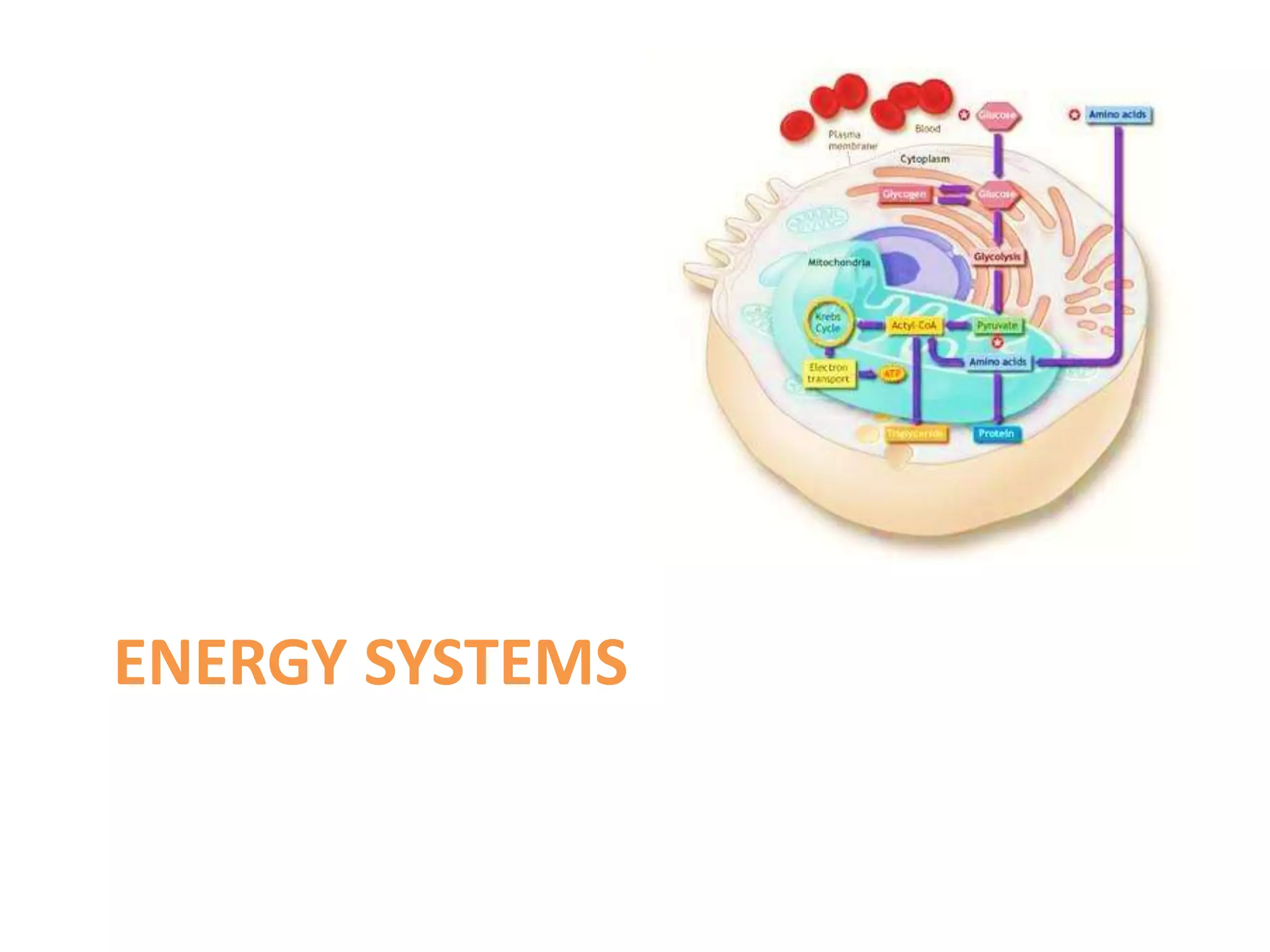 ENERGY SYSTEMS
 