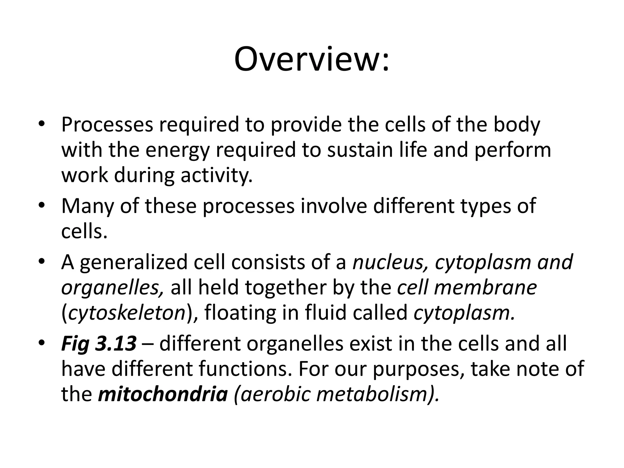Overview:
• Processes required to provide the cells of the body
with the energy required to sustain life and perform
work during activity.
• Many of these processes involve different types of
cells.
• A generalized cell consists of a nucleus, cytoplasm and
organelles, all held together by the cell membrane
(cytoskeleton), floating in fluid called cytoplasm.
• Fig 3.13 – different organelles exist in the cells and all
have different functions. For our purposes, take note of
the mitochondria (aerobic metabolism).
 