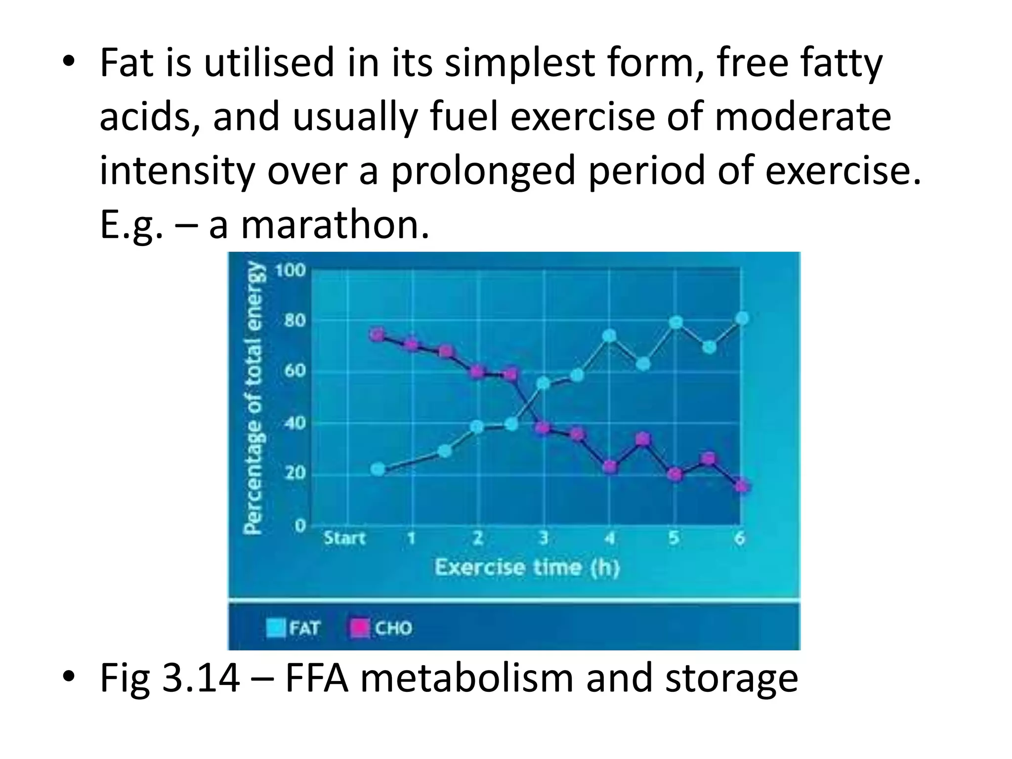 • Fat is utilised in its simplest form, free fatty
acids, and usually fuel exercise of moderate
intensity over a prolonged period of exercise.
E.g. – a marathon.
• Fig 3.14 – FFA metabolism and storage
 