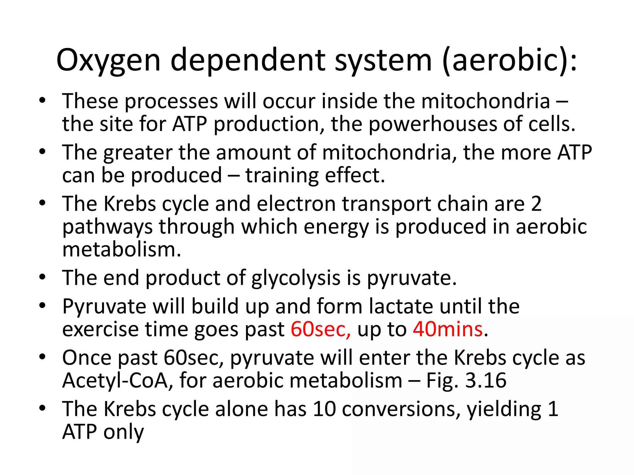 Oxygen dependent system (aerobic):
• These processes will occur inside the mitochondria –
the site for ATP production, the powerhouses of cells.
• The greater the amount of mitochondria, the more ATP
can be produced – training effect.
• The Krebs cycle and electron transport chain are 2
pathways through which energy is produced in aerobic
metabolism.
• The end product of glycolysis is pyruvate.
• Pyruvate will build up and form lactate until the
exercise time goes past 60sec, up to 40mins.
• Once past 60sec, pyruvate will enter the Krebs cycle as
Acetyl-CoA, for aerobic metabolism – Fig. 3.16
• The Krebs cycle alone has 10 conversions, yielding 1
ATP only
 