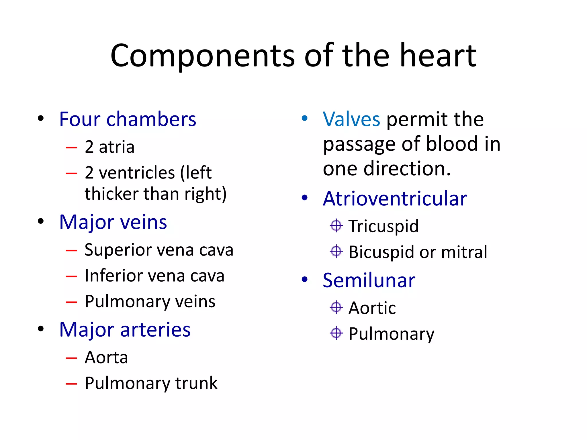 Components of the heart
• Four chambers
– 2 atria
– 2 ventricles (left
thicker than right)
• Major veins
– Superior vena cava
– Inferior vena cava
– Pulmonary veins
• Major arteries
– Aorta
– Pulmonary trunk
• Valves permit the
passage of blood in
one direction.
• Atrioventricular
Tricuspid
Bicuspid or mitral
• Semilunar
Aortic
Pulmonary
 