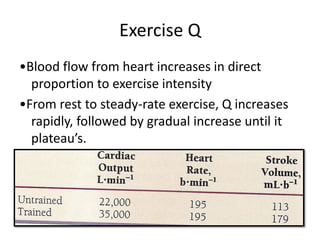 Exercise Q
•Blood flow from heart increases in direct
proportion to exercise intensity
•From rest to steady-rate exercise, Q increases
rapidly, followed by gradual increase until it
plateau’s.
 