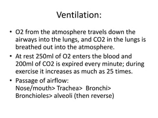 Ventilation:
• O2 from the atmosphere travels down the
airways into the lungs, and CO2 in the lungs is
breathed out into the atmosphere.
• At rest 250ml of O2 enters the blood and
200ml of CO2 is expired every minute; during
exercise it increases as much as 25 times.
• Passage of airflow:
Nose/mouth> Trachea> Bronchi>
Bronchioles> alveoli (then reverse)
 