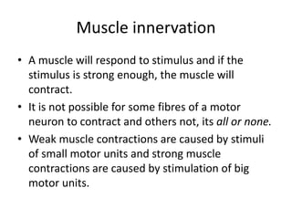 Muscle innervation
• A muscle will respond to stimulus and if the
stimulus is strong enough, the muscle will
contract.
• It is not possible for some fibres of a motor
neuron to contract and others not, its all or none.
• Weak muscle contractions are caused by stimuli
of small motor units and strong muscle
contractions are caused by stimulation of big
motor units.
 