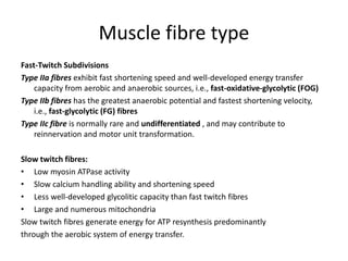 Muscle fibre type
Fast-Twitch Subdivisions
Type IIa fibres exhibit fast shortening speed and well-developed energy transfer
capacity from aerobic and anaerobic sources, i.e., fast-oxidative-glycolytic (FOG)
Type IIb fibres has the greatest anaerobic potential and fastest shortening velocity,
i.e., fast-glycolytic (FG) fibres
Type IIc fibre is normally rare and undifferentiated , and may contribute to
reinnervation and motor unit transformation.
Slow twitch fibres:
• Low myosin ATPase activity
• Slow calcium handling ability and shortening speed
• Less well-developed glycolitic capacity than fast twitch fibres
• Large and numerous mitochondria
Slow twitch fibres generate energy for ATP resynthesis predominantly
through the aerobic system of energy transfer.
 