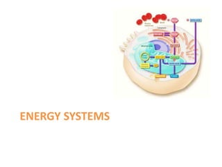 ENERGY SYSTEMS
 