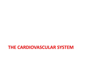 THE CARDIOVASCULAR SYSTEM
 
