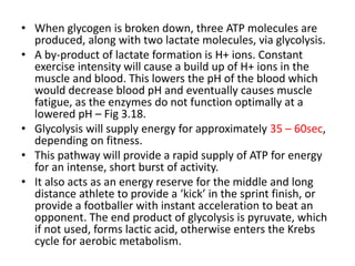 • When glycogen is broken down, three ATP molecules are
produced, along with two lactate molecules, via glycolysis.
• A by-product of lactate formation is H+ ions. Constant
exercise intensity will cause a build up of H+ ions in the
muscle and blood. This lowers the pH of the blood which
would decrease blood pH and eventually causes muscle
fatigue, as the enzymes do not function optimally at a
lowered pH – Fig 3.18.
• Glycolysis will supply energy for approximately 35 – 60sec,
depending on fitness.
• This pathway will provide a rapid supply of ATP for energy
for an intense, short burst of activity.
• It also acts as an energy reserve for the middle and long
distance athlete to provide a ‘kick’ in the sprint finish, or
provide a footballer with instant acceleration to beat an
opponent. The end product of glycolysis is pyruvate, which
if not used, forms lactic acid, otherwise enters the Krebs
cycle for aerobic metabolism.
 