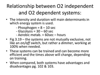 Relationship between O2 independent
and O2 dependent systems:
• The intensity and duration will main determinants in
which energy system is used.
- Phosphogen = 8 – 10 sec
- Glycolysis = 30 – 60 sec
- Aerobic metab. = 60sec – hours
• Fig 3.19 – the systems are not mutually exclusive, not
like an on/off switch, but rather a dimmer, working at
100% when needed.
• These systems can be trained and can become more
efficient and the times above will change, depending
on training.
• When compared, both systems have advantages and
disadvantages pg. 102 & 103.
 