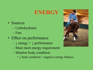 ENERGY
• Sources
– Carbohydrates
– Fats
• Effect on performance
– ↓ energy = ↓ performance
– Must meet energy requirement
– Monitor body condition
• ↓ body condition = negative energy balance
 