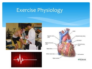 Exercise Physiology 