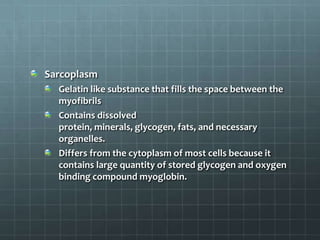 Sarcoplasm
Gelatin like substance that fills the space between the
myofibrils
Contains dissolved
protein, minerals, glycogen, fats, and necessary
organelles.
Differs from the cytoplasm of most cells because it
contains large quantity of stored glycogen and oxygen
binding compound myoglobin.
 