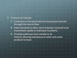 Transverse Tubules
Extensions of the plasmalemma that passes laterally
through the muscle fiber.
Interconnected to allow nerve impulses received to be
transmitted rapidly to individual myofibrils.
Provides pathways from outside to its
interior, allowing substances to enter and waste
products to leave
 