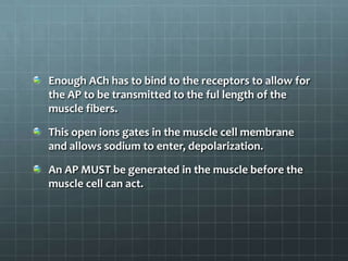 Enough ACh has to bind to the receptors to allow for
the AP to be transmitted to the ful length of the
muscle fibers.
This open ions gates in the muscle cell membrane
and allows sodium to enter, depolarization.
An AP MUST be generated in the muscle before the
muscle cell can act.
 