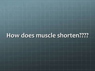 How does muscle shorten????
 