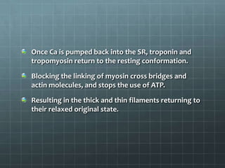 Once Ca is pumped back into the SR, troponin and
tropomyosin return to the resting conformation.
Blocking the linking of myosin cross bridges and
actin molecules, and stops the use of ATP.
Resulting in the thick and thin filaments returning to
their relaxed original state.
 