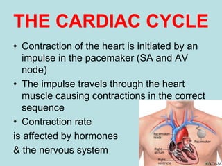 Exercise physiology | PPTX
