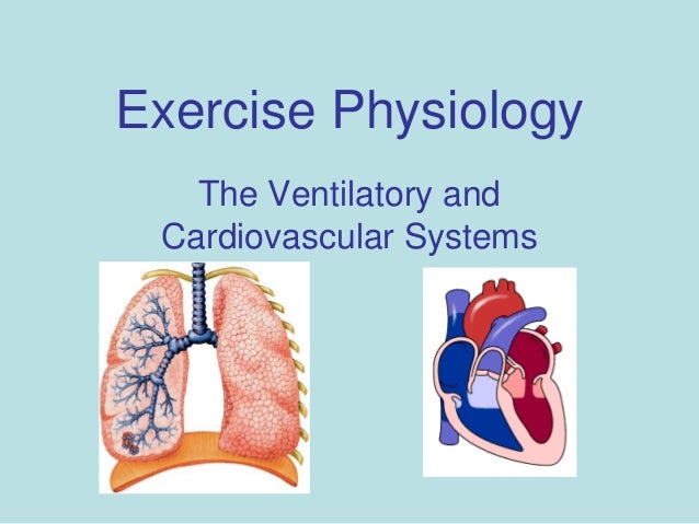 exercise 6 cardiovascular physiology worksheet Results for answers exercise 34b frog cardiovascular physiology high speed direct downloads answers exercise 34b frog cardiovascular physiology review sheet exercise 34 a frog cardiovascular [full version. exercise 6 cardiovascular physiology worksheet Results for answers exercise 34b frog cardiovascular physiology high speed direct downloads answers exercise 34b frog cardiovascular physiology review sheet exercise 34 a frog cardiovascular [full version.