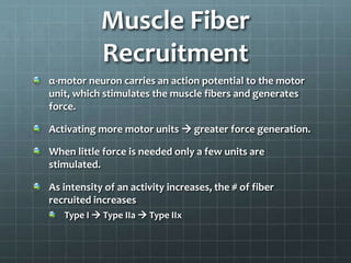 Exercise physiology 2 | PPT