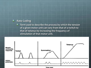 Exercise physiology 2 | PPTX
