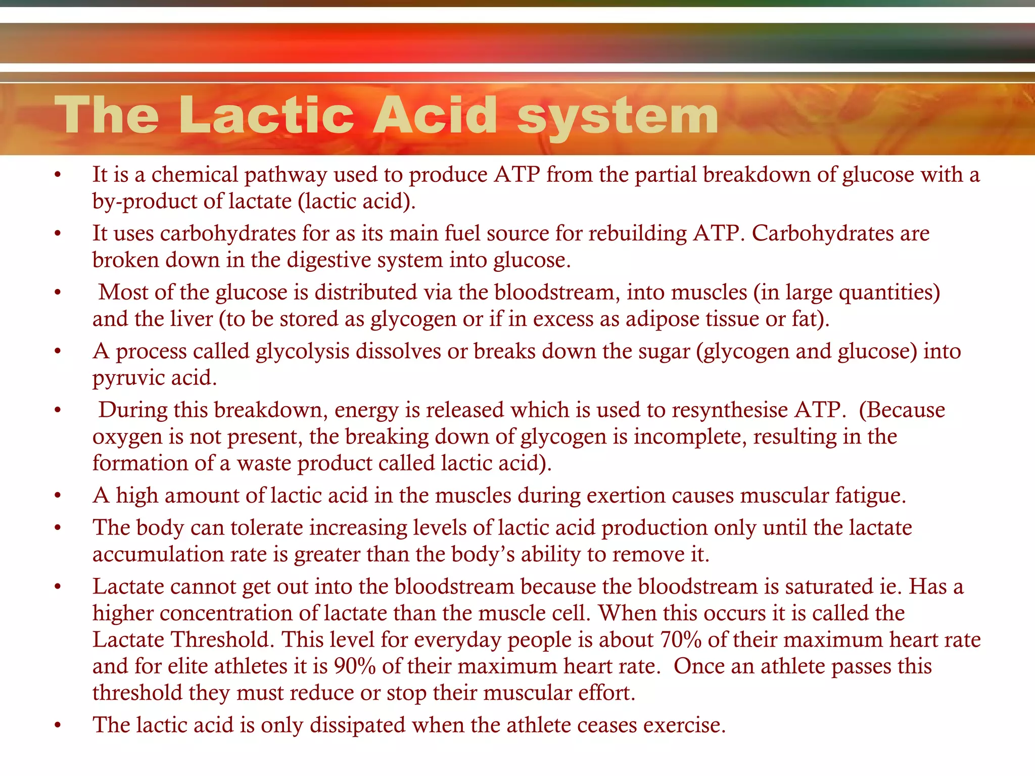 The Lactic Acid system It is a chemical pathway used to produce ATP from the partial breakdown of glucose with a by-product of lactate (lactic acid).  It uses carbohydrates for as its main fuel source for rebuilding ATP. Carbohydrates are broken down in the digestive system into glucose.  Most of the glucose is distributed via the bloodstream, into muscles (in large quantities) and the liver (to be stored as glycogen or if in excess as adipose tissue or fat).  A process called glycolysis dissolves or breaks down the sugar (glycogen and glucose) into pyruvic acid.  During this breakdown, energy is released which is used to resynthesise ATP.  (Because oxygen is not present, the breaking down of glycogen is incomplete, resulting in the formation of a waste product called lactic acid).  A high amount of lactic acid in the muscles during exertion causes muscular fatigue.  The body can tolerate increasing levels of lactic acid production only until the lactate accumulation rate is greater than the body’s ability to remove it.  Lactate cannot get out into the bloodstream because the bloodstream is saturated ie. Has a higher concentration of lactate than the muscle cell. When this occurs it is called the Lactate Threshold. This level for everyday people is about 70% of their maximum heart rate and for elite athletes it is 90% of their maximum heart rate.  Once an athlete passes this threshold they must reduce or stop their muscular effort.  The lactic acid is only dissipated when the athlete ceases exercise.  