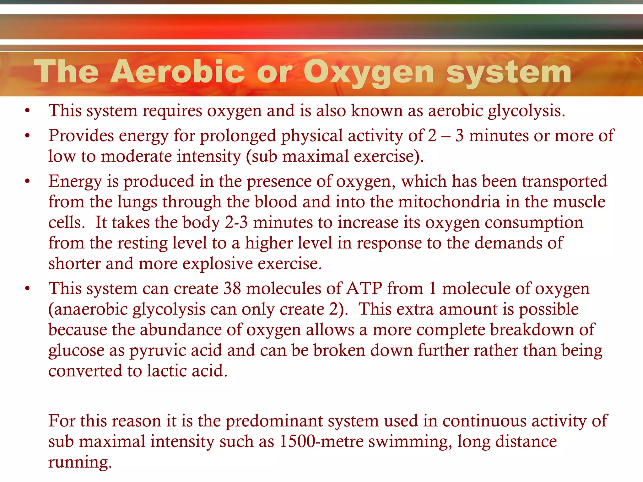 The Aerobic or Oxygen system This system requires oxygen and is also known as aerobic glycolysis.  Provides energy for prolonged physical activity of 2 – 3 minutes or more of low to moderate intensity (sub maximal exercise).  Energy is produced in the presence of oxygen, which has been transported from the lungs through the blood and into the mitochondria in the muscle cells.  It takes the body 2-3 minutes to increase its oxygen consumption from the resting level to a higher level in response to the demands of shorter and more explosive exercise.  This system can create 38 molecules of ATP from 1 molecule of oxygen (anaerobic glycolysis can only create 2).  This extra amount is possible because the abundance of oxygen allows a more complete breakdown of glucose as pyruvic acid and can be broken down further rather than being converted to lactic acid. For this reason it is the predominant system used in continuous activity of sub maximal intensity such as 1500-metre swimming, long distance running. 