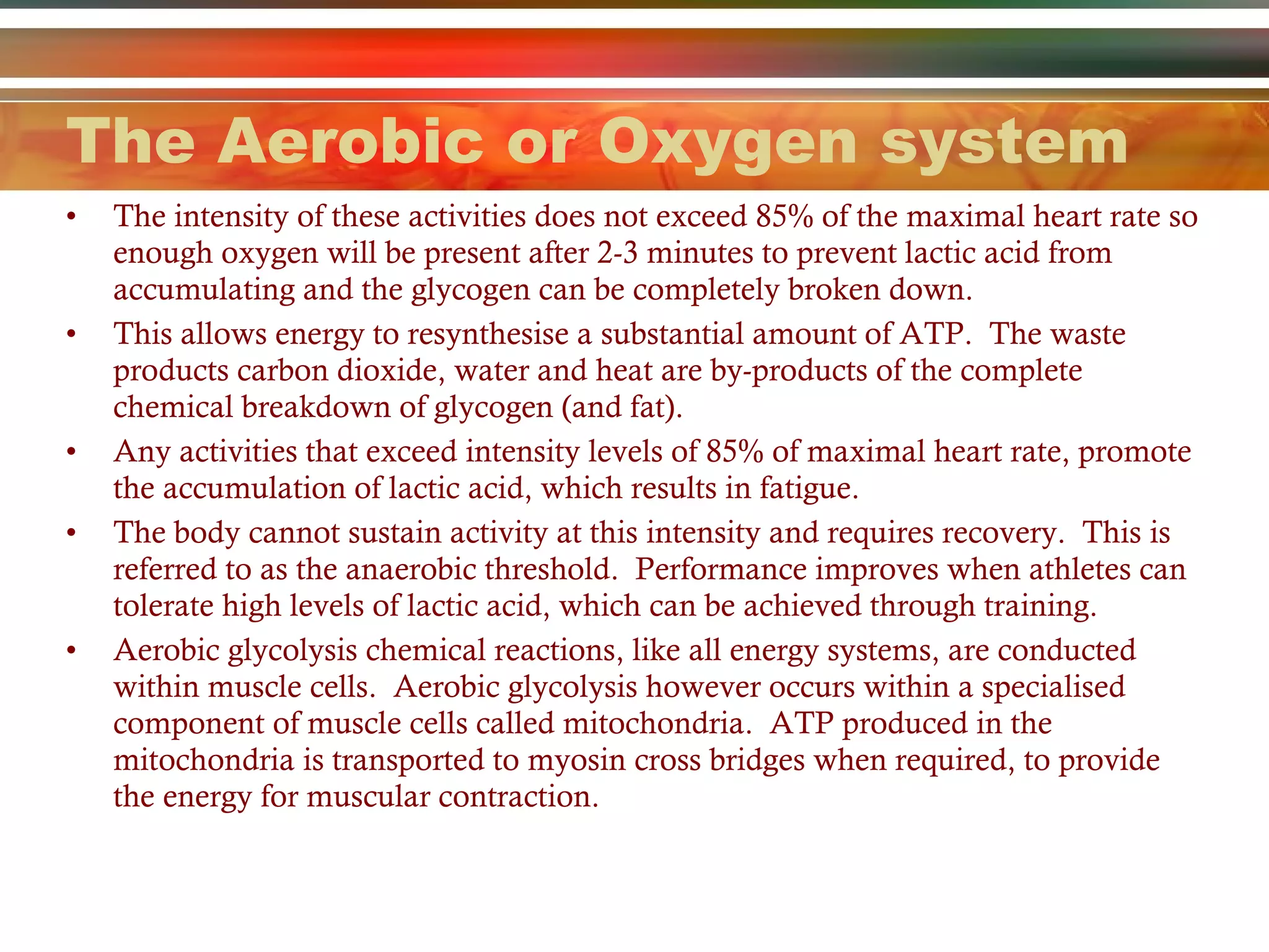 The Aerobic or Oxygen system The intensity of these activities does not exceed 85% of the maximal heart rate so enough oxygen will be present after 2-3 minutes to prevent lactic acid from accumulating and the glycogen can be completely broken down.  This allows energy to resynthesise a substantial amount of ATP.  The waste products carbon dioxide, water and heat are by-products of the complete chemical breakdown of glycogen (and fat).  Any activities that exceed intensity levels of 85% of maximal heart rate, promote the accumulation of lactic acid, which results in fatigue.  The body cannot sustain activity at this intensity and requires recovery.  This is referred to as the anaerobic threshold.  Performance improves when athletes can tolerate high levels of lactic acid, which can be achieved through training. Aerobic glycolysis chemical reactions, like all energy systems, are conducted within muscle cells.  Aerobic glycolysis however occurs within a specialised component of muscle cells called mitochondria.  ATP produced in the mitochondria is transported to myosin cross bridges when required, to provide the energy for muscular contraction.  