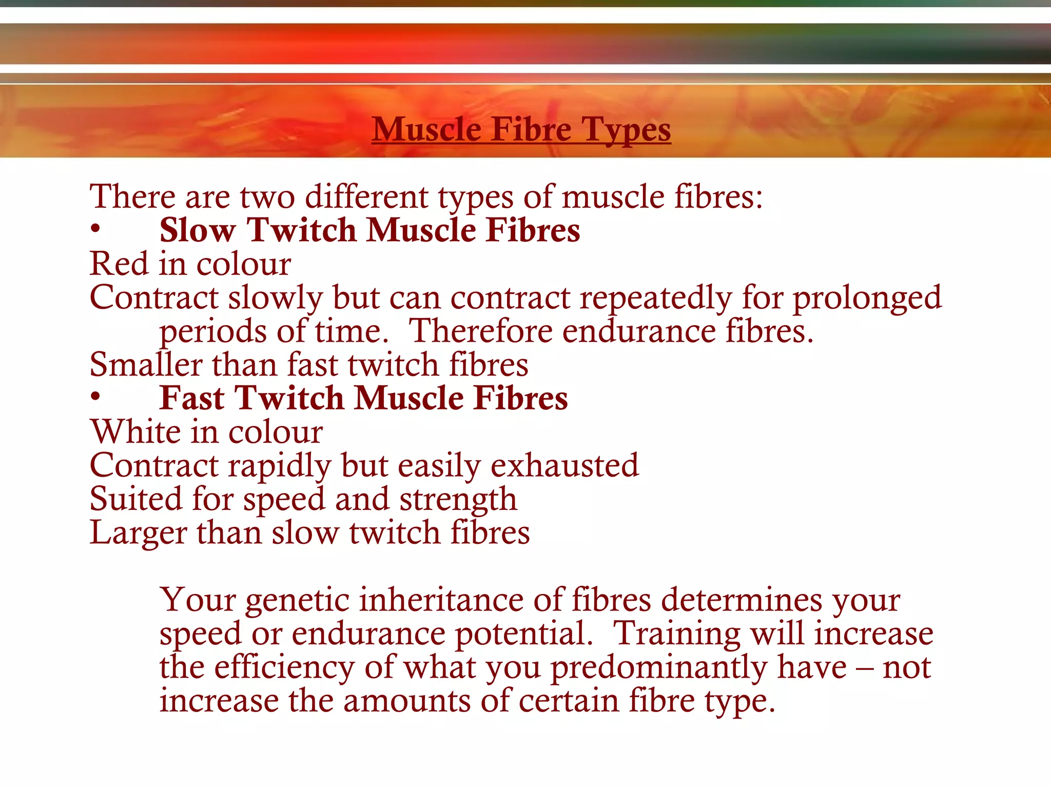 Muscle Fibre Types There are two different types of muscle fibres: Slow Twitch Muscle Fibres Red in  colour Contract slowly but can contract repeatedly for prolonged periods of time.  Therefore endurance fibres. Smaller than fast twitch fibres Fast Twitch  Muscle  Fibres White in  colour Contract rapidly but easily exhausted Suited for speed and strength Larger than slow twitch fibres Your genetic inheritance of fibres determines your speed or endurance potential.  Training will increase the efficiency of what you predominantly have – not increase the amounts of certain fibre type. 
