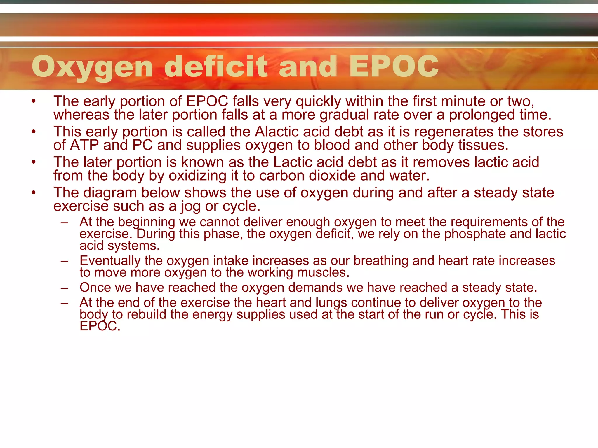 Oxygen deficit and EPOC The early portion of EPOC falls very quickly within the first minute or two, whereas the later portion falls at a more gradual rate over a prolonged time. This early portion is called the Alactic acid debt as it is regenerates the stores of ATP and PC and supplies oxygen to blood and other body tissues. The later portion is known as the Lactic acid debt as it removes lactic acid from the body by oxidizing it to carbon dioxide and water. The diagram below shows the use of oxygen during and after a steady state exercise such as a jog or cycle. At the beginning we cannot deliver enough oxygen to meet the requirements of the exercise. During this phase, the oxygen deficit, we rely on the phosphate and lactic acid systems. Eventually the oxygen intake increases as our breathing and heart rate increases to move more oxygen to the working muscles. Once we have reached the oxygen demands we have reached a steady state. At the end of the exercise the heart and lungs continue to deliver oxygen to the body to rebuild the energy supplies used at the start of the run or cycle. This is EPOC. 