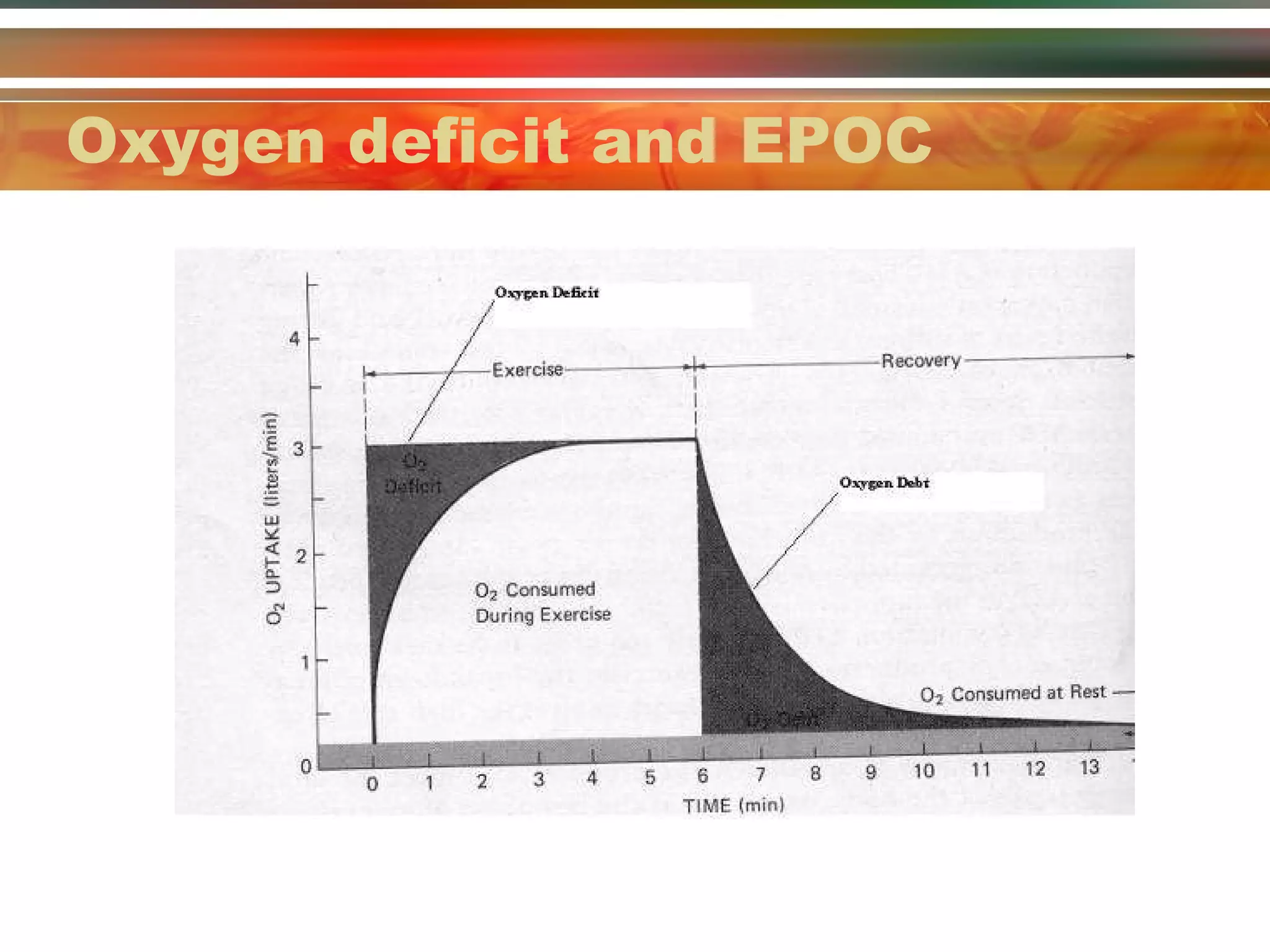 Oxygen deficit and EPOC 