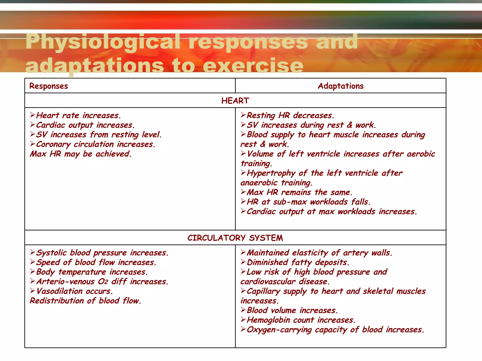 Physiological responses and adaptations to exercise Responses Adaptations HEART Heart rate increases. Cardiac output increases. SV increases from resting level. Coronary circulation increases. Max HR may be achieved. Resting HR decreases. SV increases during rest & work. Blood supply to heart muscle increases during rest & work. Volume of left ventricle increases after aerobic training. Hypertrophy of the left ventricle after anaerobic training. Max HR remains the same. HR at sub-max workloads falls. Cardiac output at max workloads increases. CIRCULATORY SYSTEM Systolic blood pressure increases. Speed of blood flow increases. Body temperature increases. Arterio-venous O 2  diff increases. Vasodilation occurs. Redistribution of blood flow. Maintained elasticity of artery walls. Diminished fatty deposits. Low risk of high blood pressure and cardiovascular disease. Capillary supply to heart and skeletal muscles increases. Blood volume increases. Hemoglobin count increases. Oxygen-carrying capacity of blood increases. 