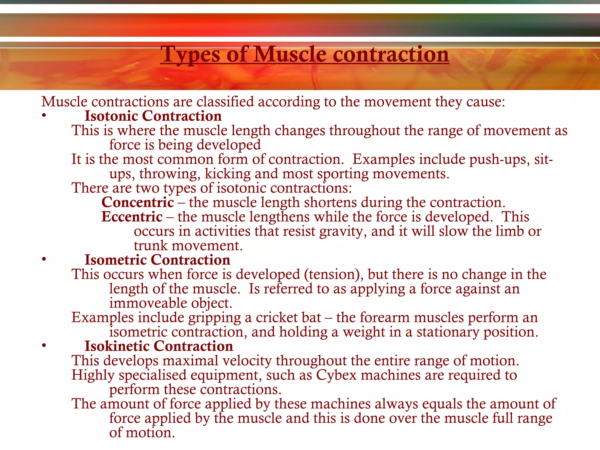 Types of Muscle contraction Muscle contractions are classified according to the movement they cause: Isotonic Contraction This is where the muscle length changes throughout the range of movement as force is being developed It is the most common form of contraction.  Examples include push-ups, sit-ups, throwing, kicking and most sporting movements. There are two types of isotonic contractions: Concentric  – the muscle length shortens during the contraction. Eccentric  – the muscle lengthens while the force is developed.  This occurs in activities that resist gravity, and it will slow the limb or trunk movement. Isometric Contraction This occurs when force is developed (tension), but there is no change in the length of the muscle.  Is referred to as applying a force against an immoveable object. Examples include gripping a cricket bat – the forearm muscles perform an isometric contraction, and holding a weight in a stationary position. Isokinetic Contraction This develops maximal velocity throughout the entire range of motion. Highly specialised equipment, such as Cybex machines are required to perform these contractions. The amount of force applied by these machines always equals the amount of force applied by the muscle and this is done over the muscle full range of motion. 