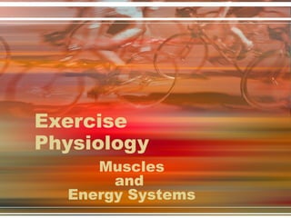 Exercise Physiology Muscles and  Energy Systems 