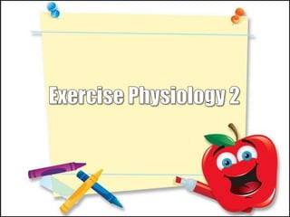 Exercise Physiology 2 