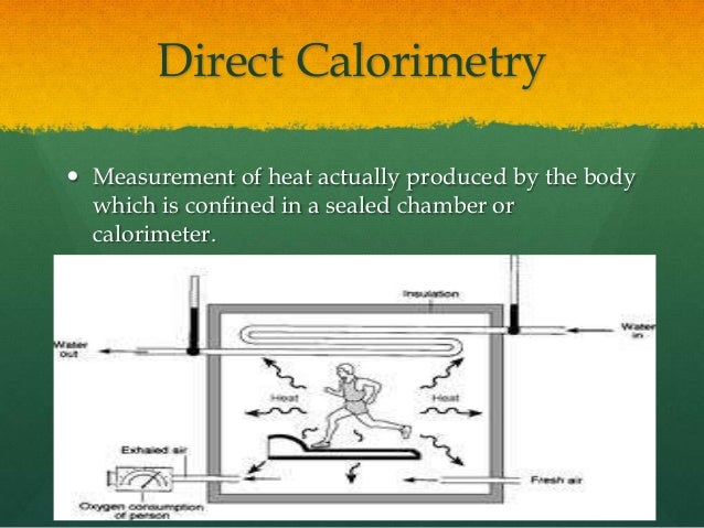 body measurement form