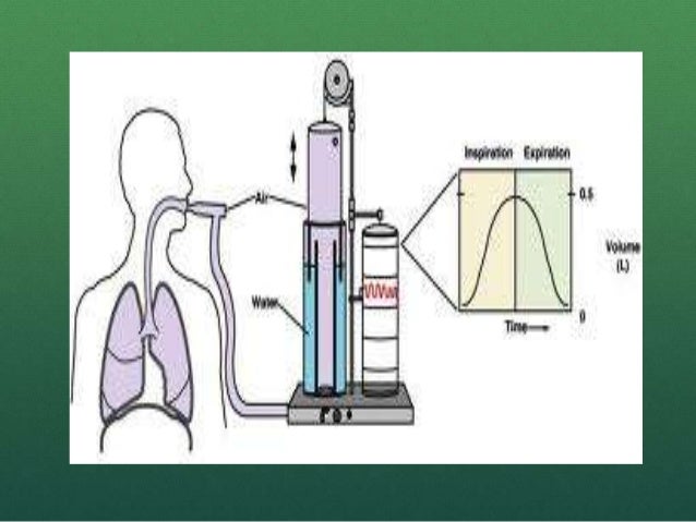 Exercise physiology 5