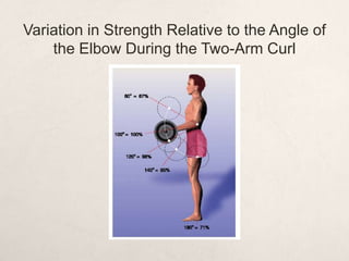 Variation in Strength Relative to the Angle of
the Elbow During the Two-Arm Curl
 