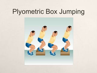 Plyometric Box Jumping
 